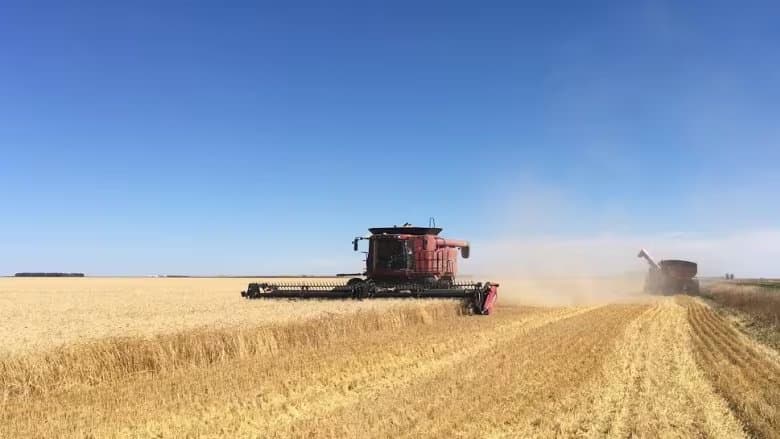 Saskatchewan landscape 5